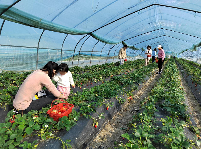 365Ӣ������(����)���޹�˾-Official website