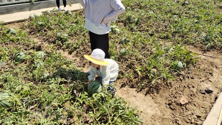 365Ӣ������(����)���޹�˾-Official website