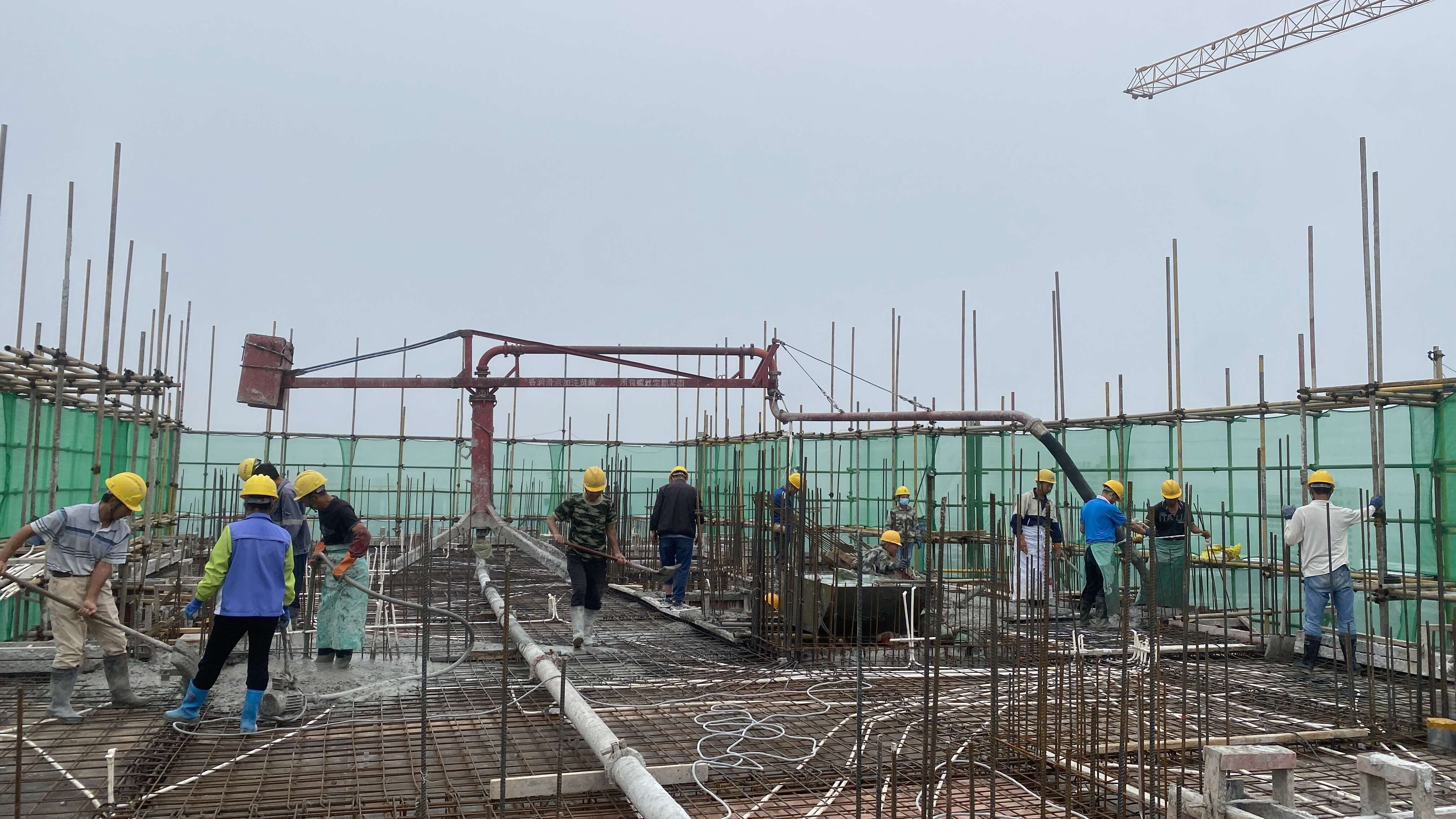 365Ӣ������(����)���޹�˾-Official website