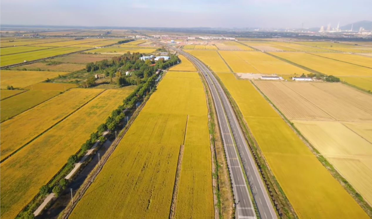 365Ӣ������(����)���޹�˾-Official website