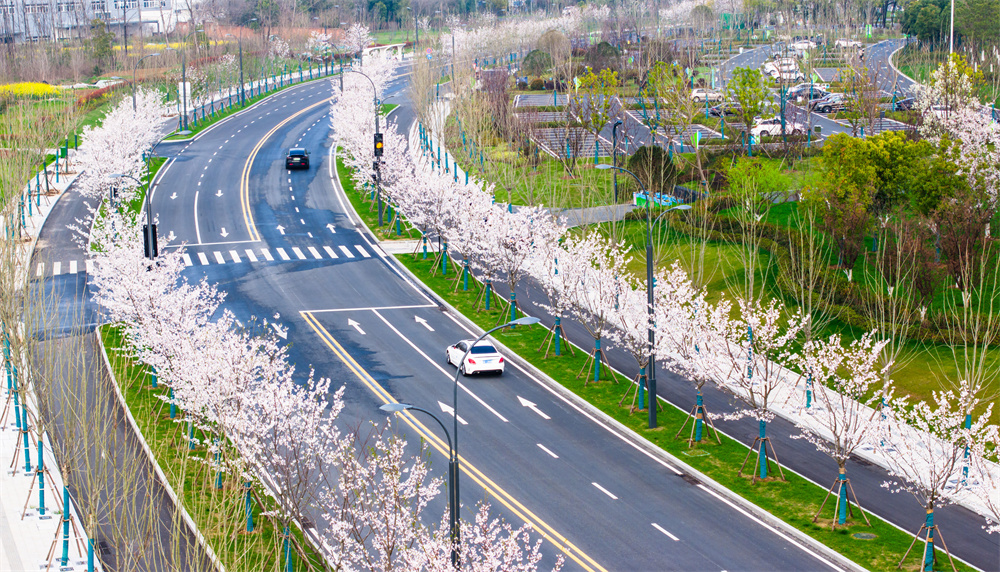 365Ӣ������(����)���޹�˾-Official website