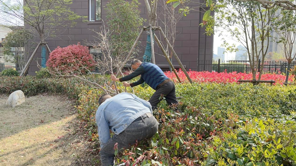 365Ӣ������(����)���޹�˾-Official website