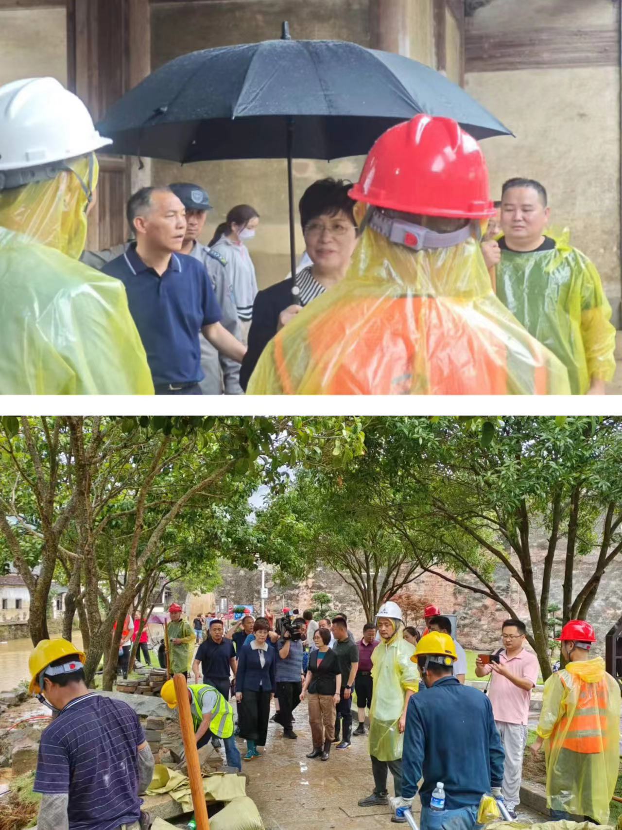 365Ӣ������(����)���޹�˾-Official website