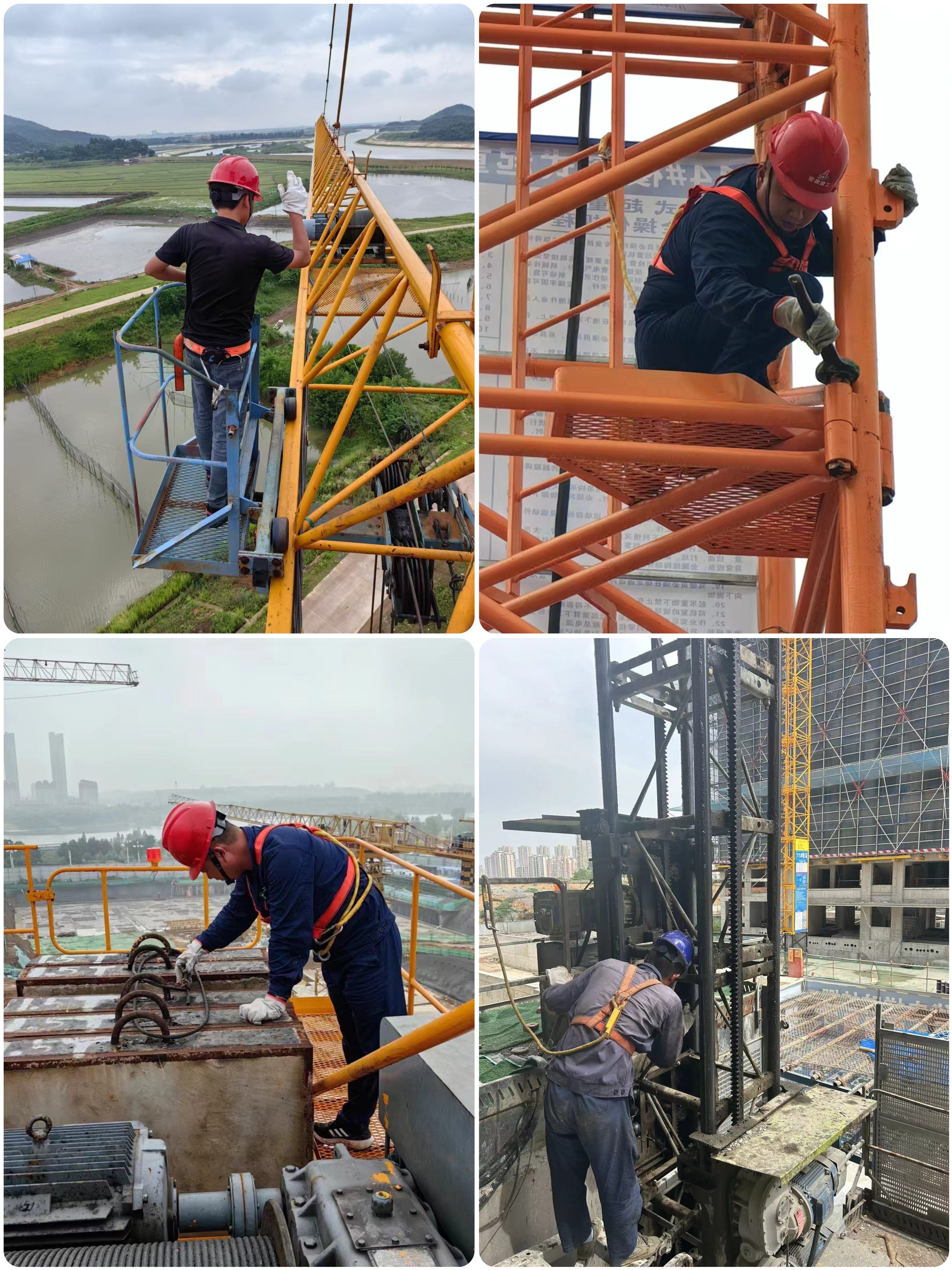 365Ӣ������(����)���޹�˾-Official website