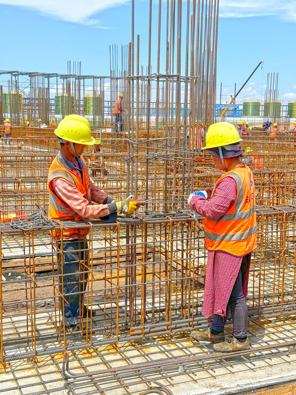 365Ӣ������(����)���޹�˾-Official website