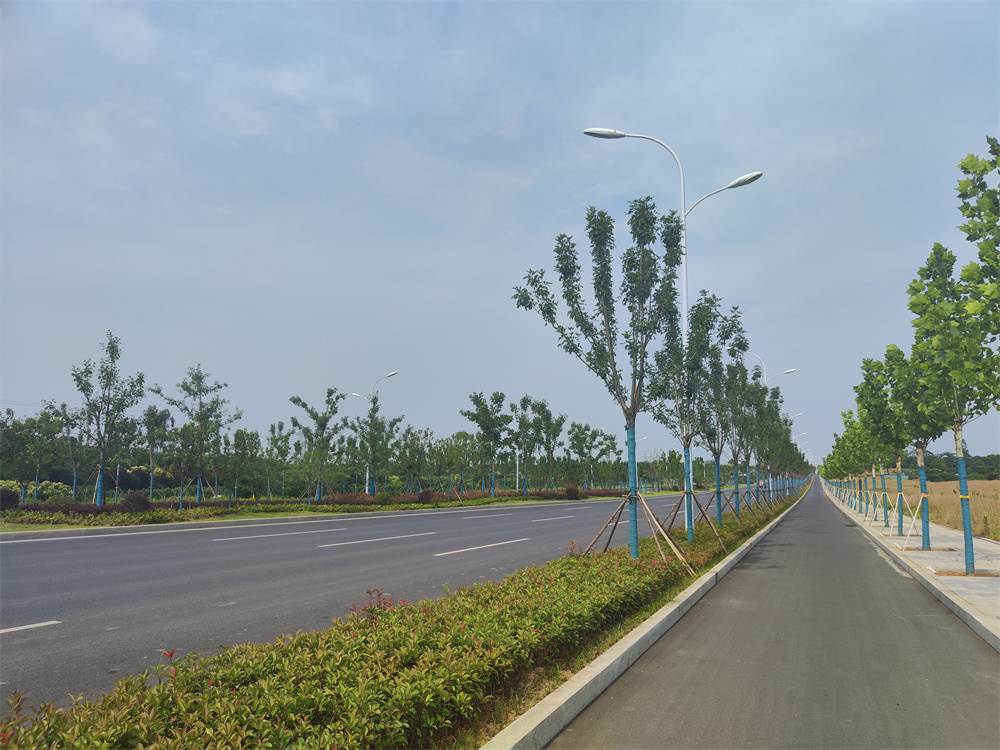 365Ӣ������(����)���޹�˾-Official website