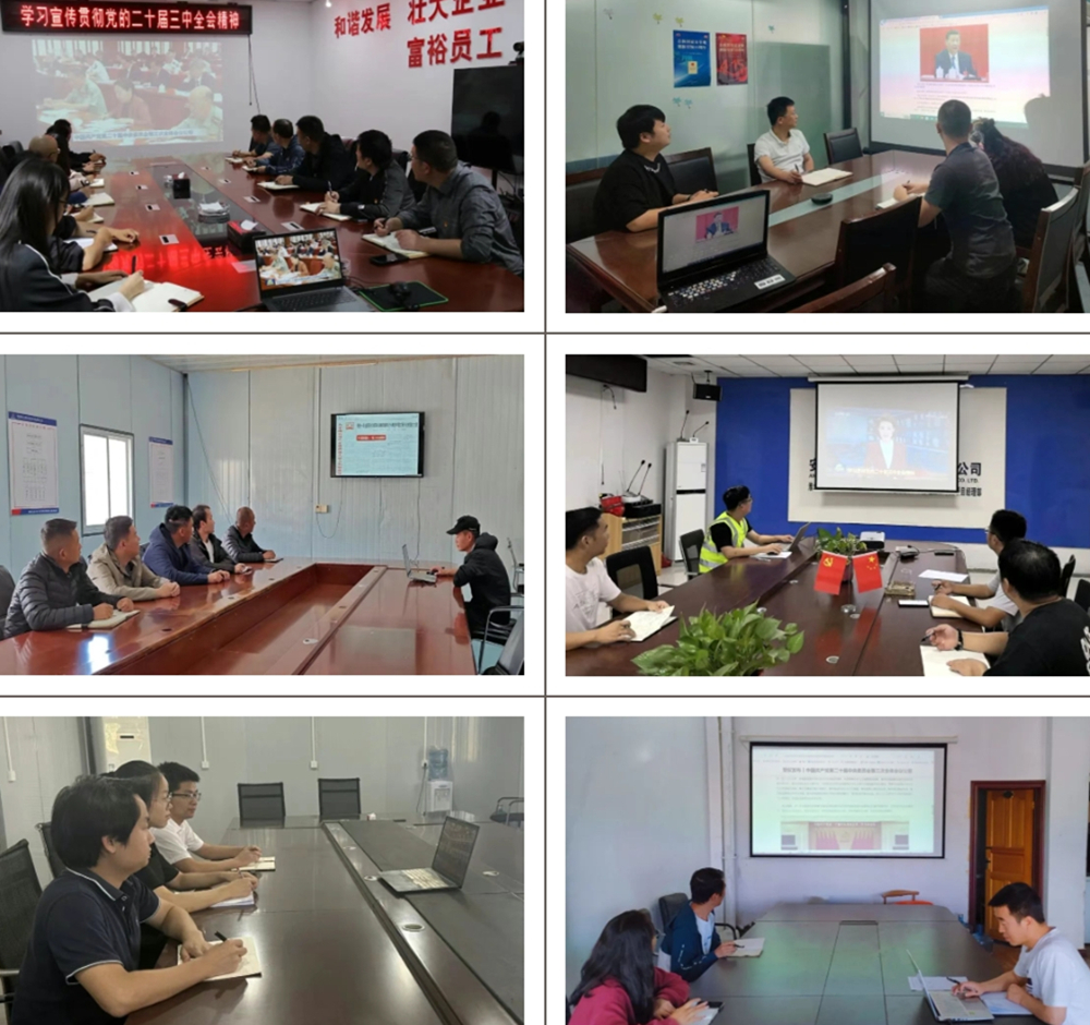 365Ӣ������(����)���޹�˾-Official website